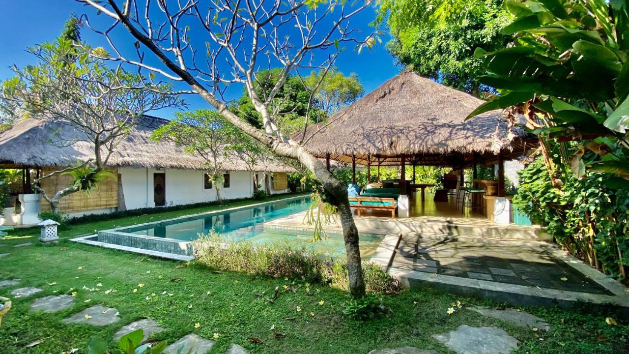 Blind Dog Hostel Sanur
