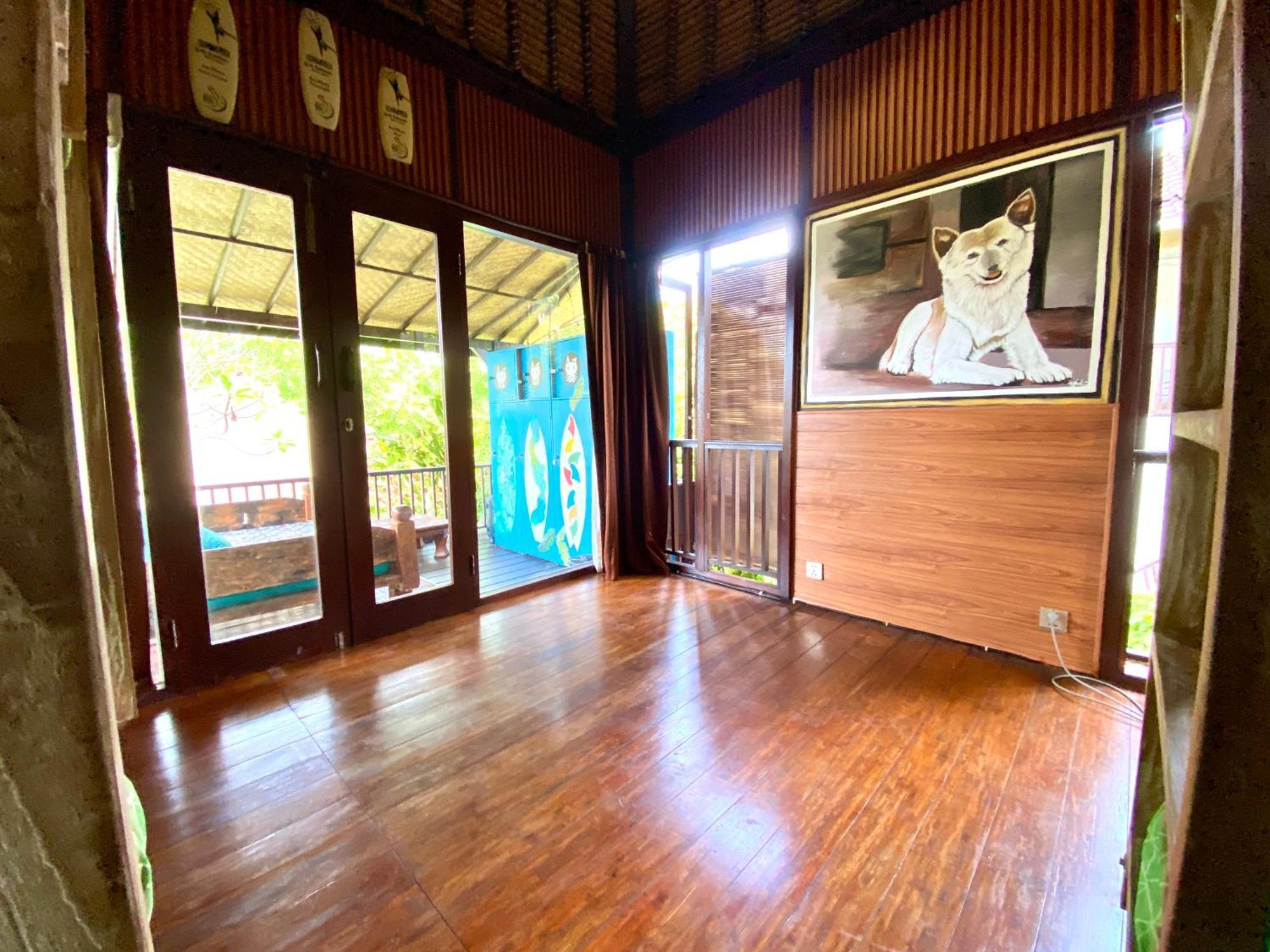 Blind Dog Sanur